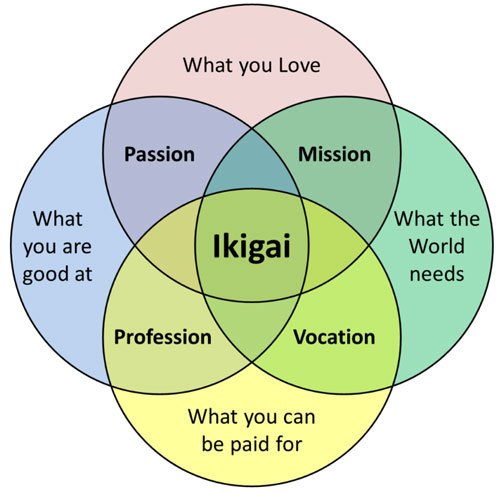 Ikigai and Cosmetic Surgery