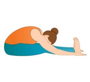 The Seated Forward Bend (Paschimottanasana) 