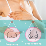 Post pregnancy breast care natural ways to prevent breast sagging and maintain firmness Post pregnancy breast care – natural ways to prevent breast sagging and maintain firmness